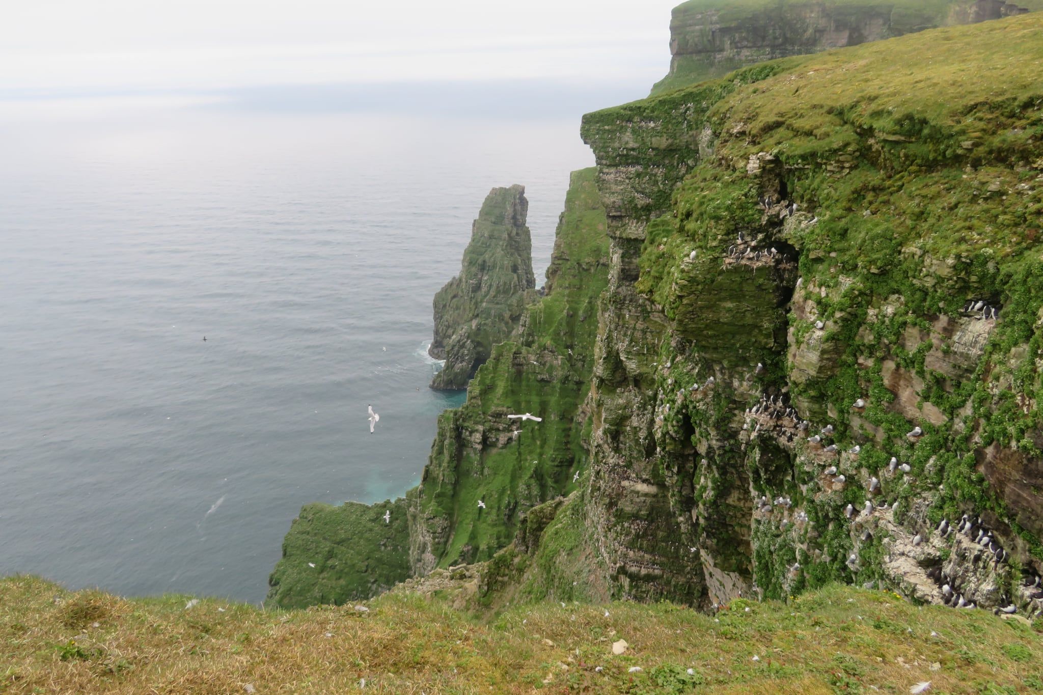 Falaises abruptes