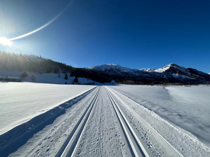 Pistes de ski de fond sous le soleil