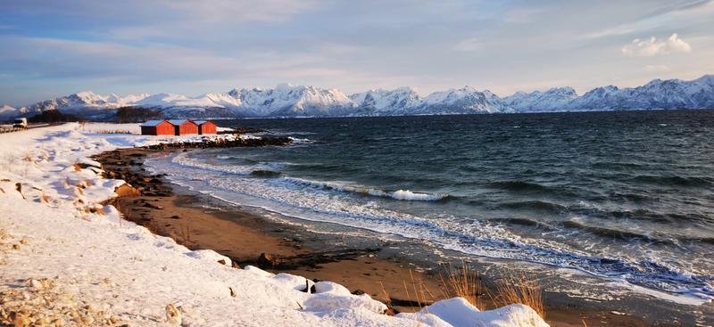 Bord de mer enneigé
