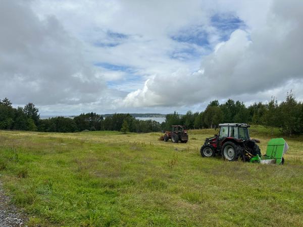 Champ avec 2 tracteurs et vue sur le fjord de Molde