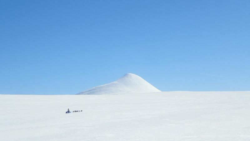Photo vue de haut du musher et son traineau filant sur une grand pleine de neige ensoleillée