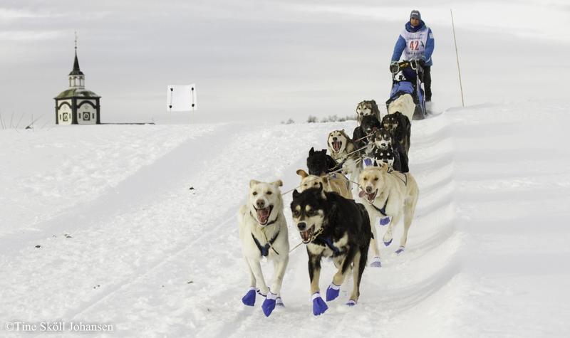 Course de traineaux à Røros