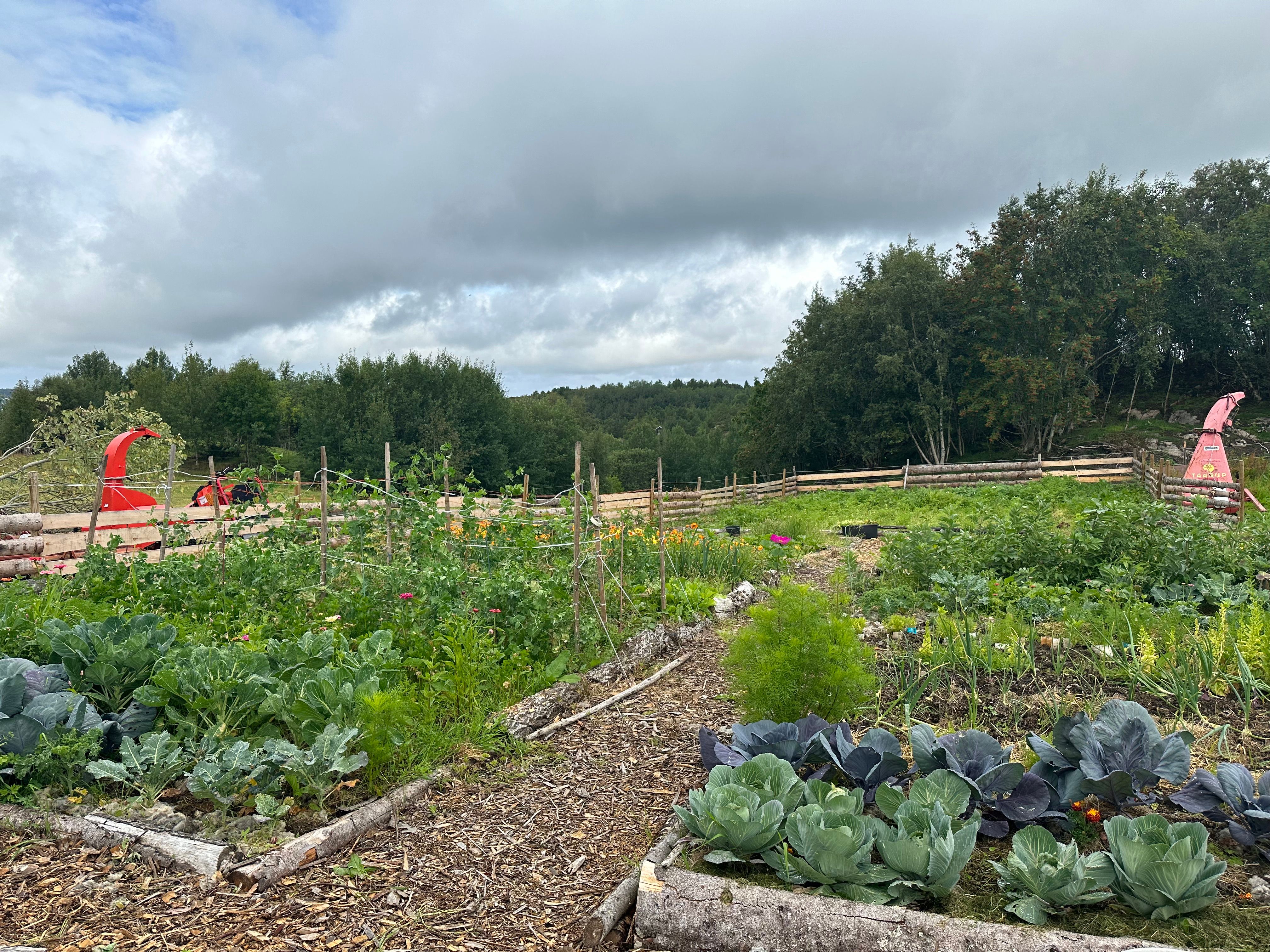 Un des potagers
