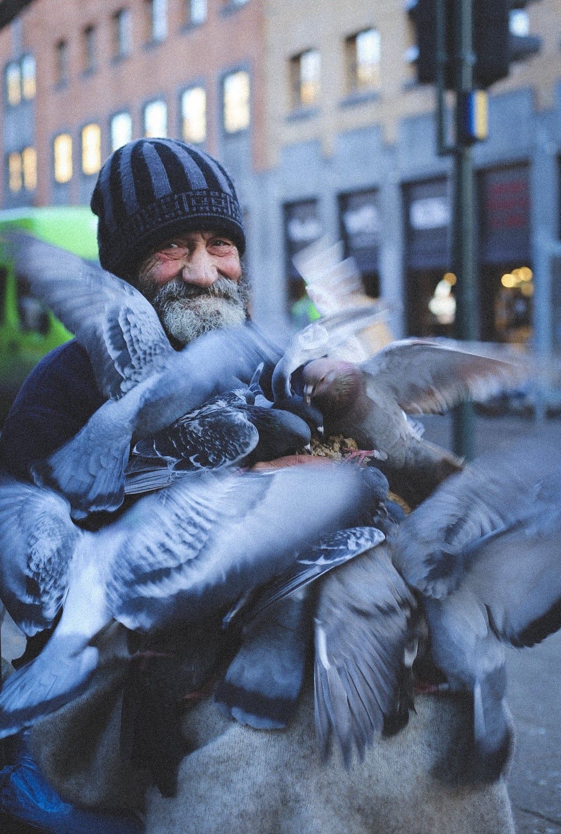Homme avec bonnet et plein de pigeons