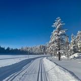 Tracé de ski de fond