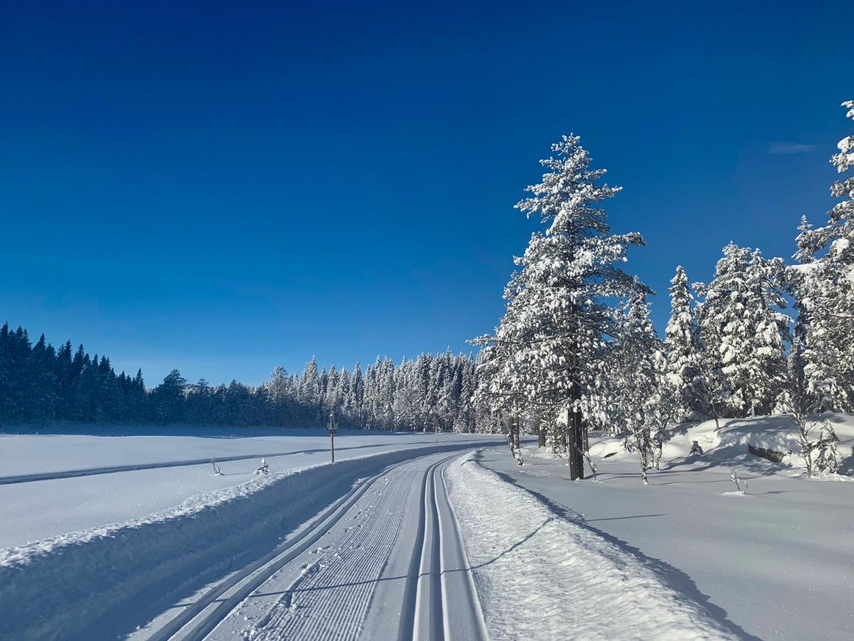 Tracé de ski de fond