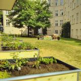Potager dans une résidence urbaine