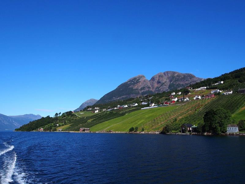 Vergers à Hardangerfjord