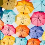 De nombreux parapluies, ouverts, de couleurs vives