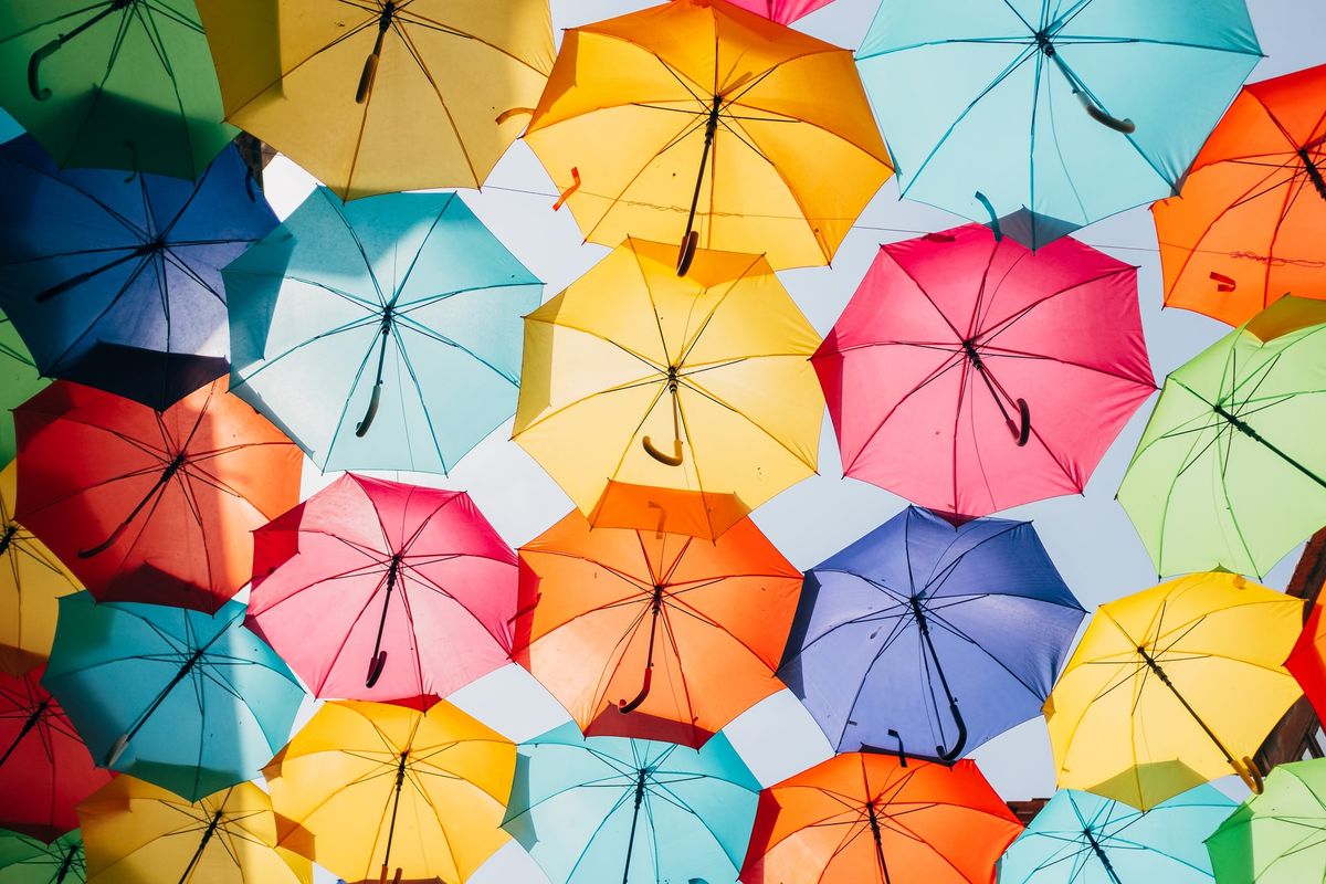 De nombreux parapluies, ouverts, de couleurs vives
