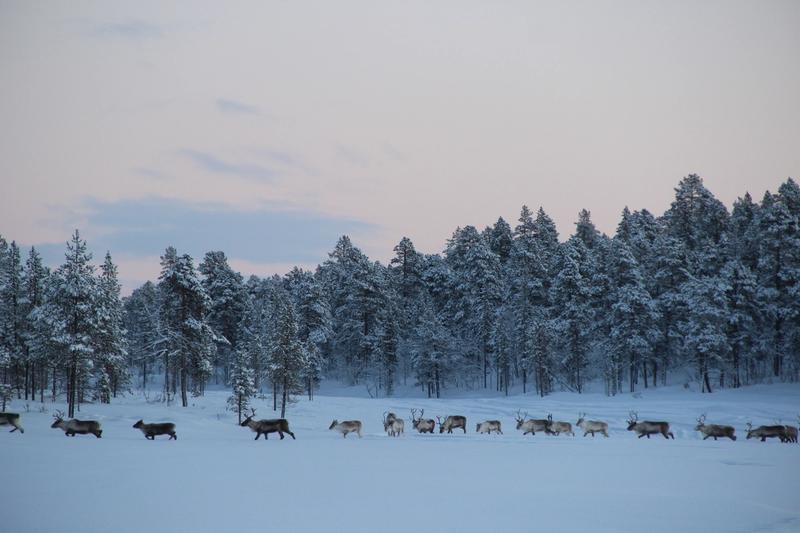 Rennes en vadrouille dans la neige
