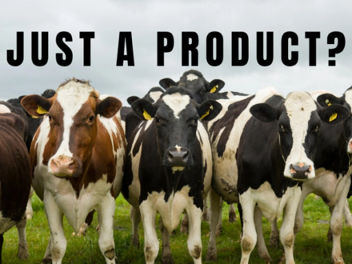 kuer med teksten "Just a product"