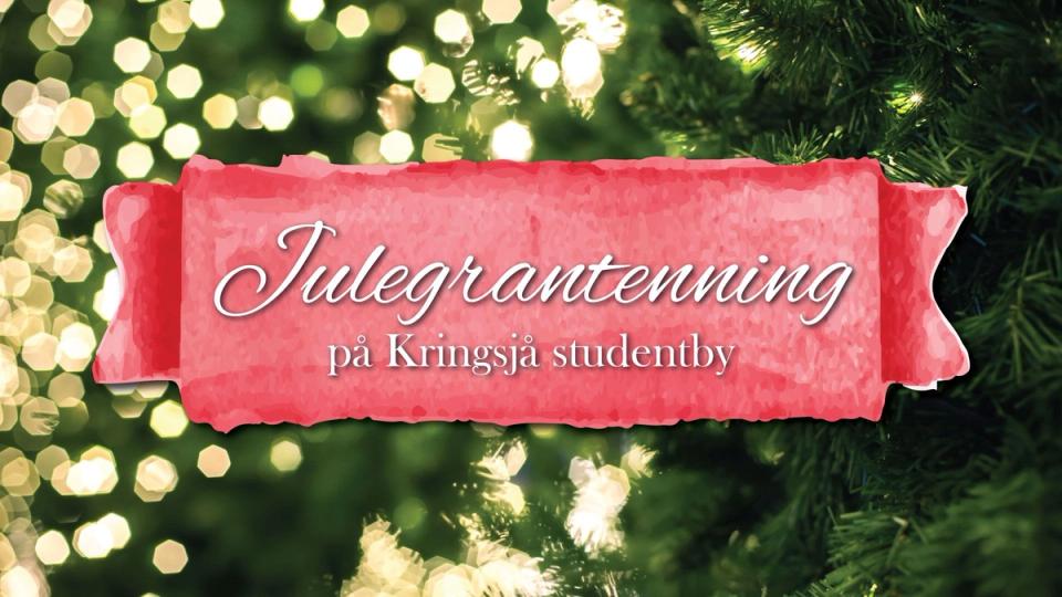 Julegrantenning på Kringsjå Studentby