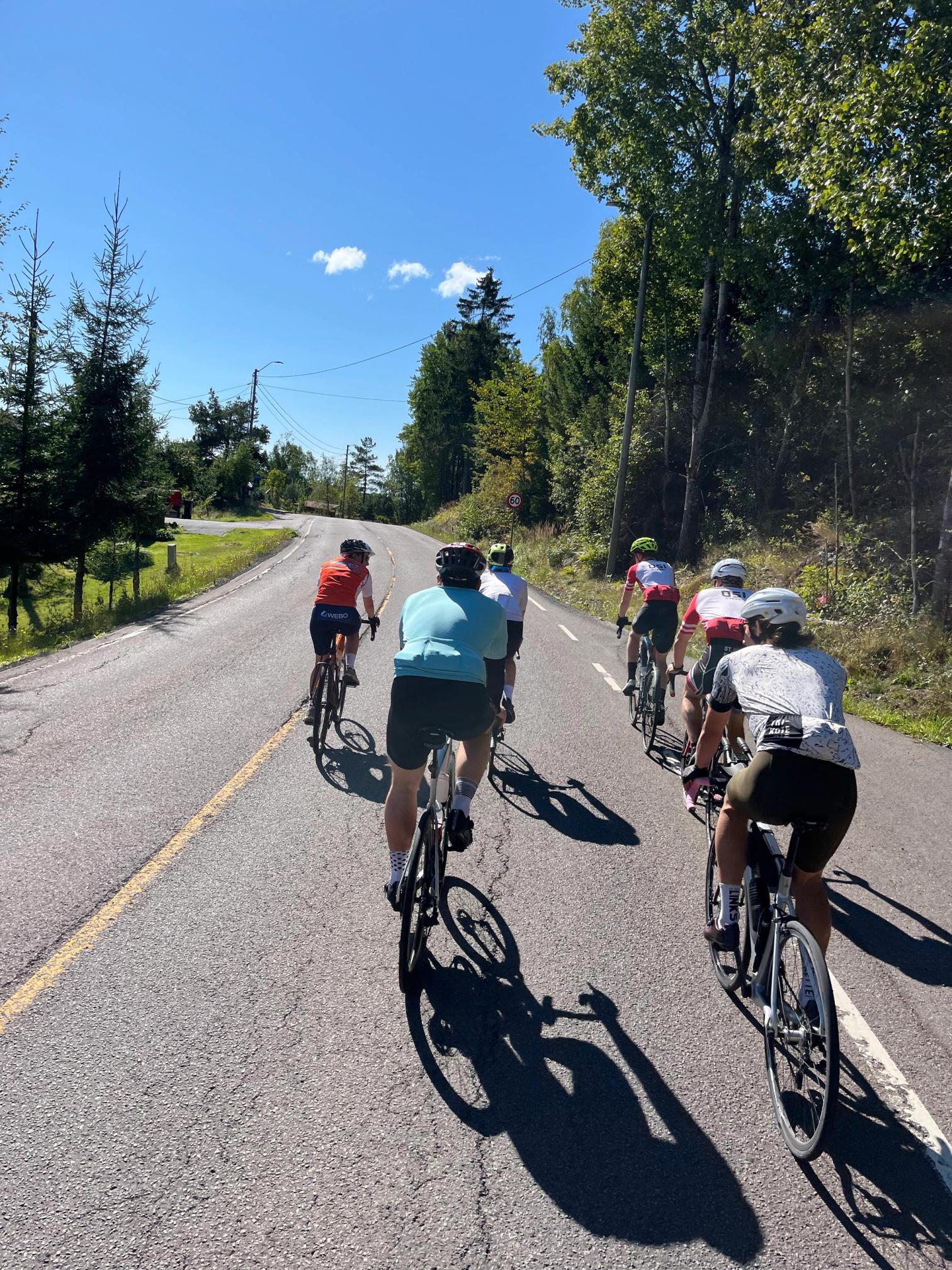 A group of cyclists ride up a sunny, tree-lined rural road under a clear blue sky.