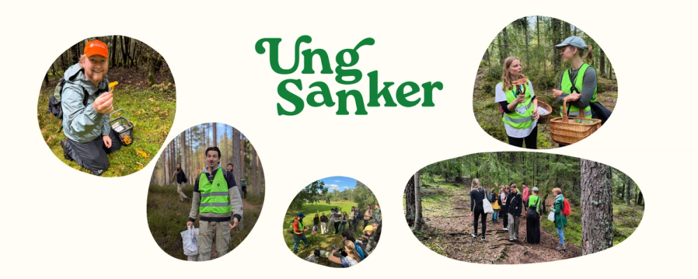 Illustrasjon med tekst og foto av personer i naturen