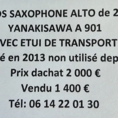Vends Saxophone alto avec étui