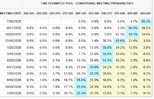 CME FedWatch table showing Fed rate target probabilities for 2025–2026.