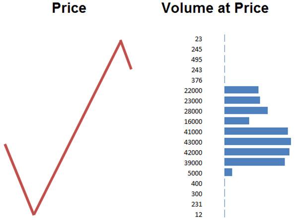 Price movement chart paired with a volume-at-price histogram.
