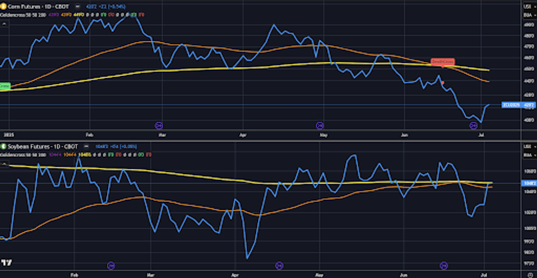 Daily line charts showing corn and soybean futures with moving averages.