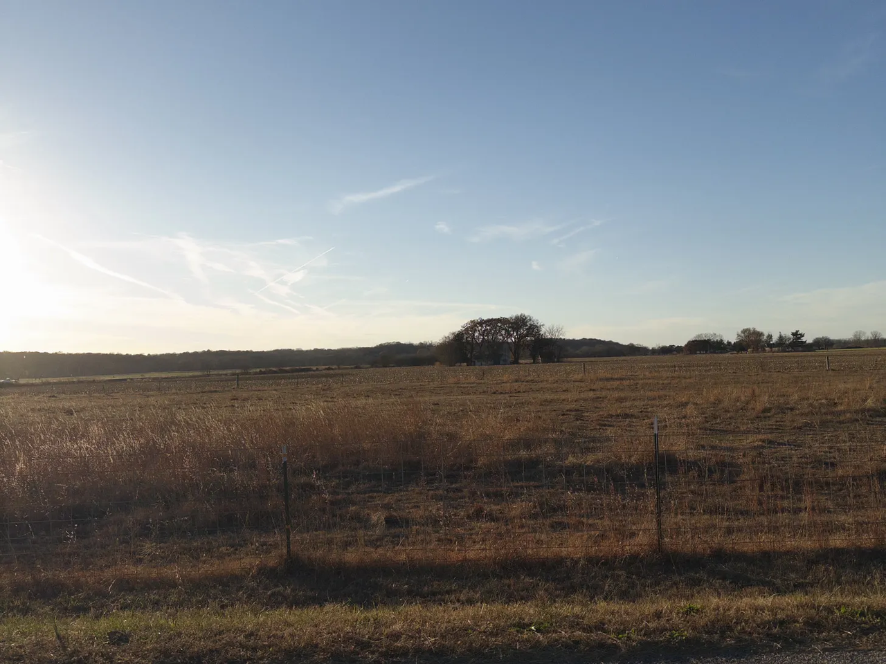 Empty field