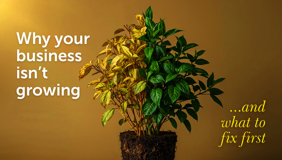 Why your UK business isn’t growing (and what to fix first) | Nutcracker Agency