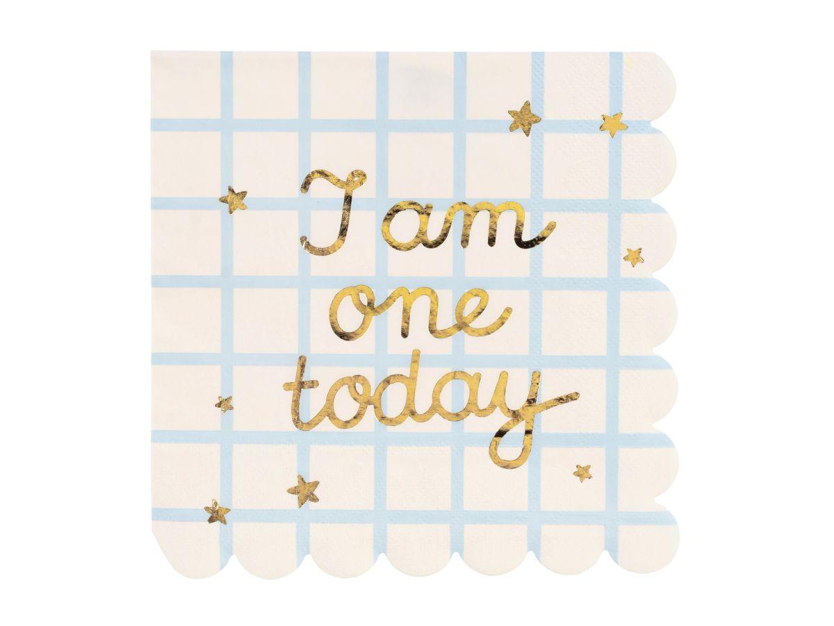 I AM ONE PARTY KIT  - снимка 6