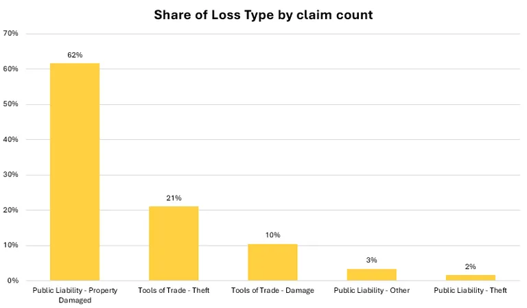 Share of Loss Type by Claim Count