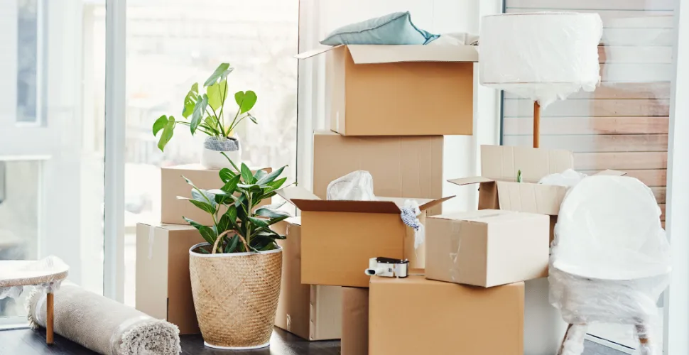 How to Make Moving Into a New Apartment Less Stressful