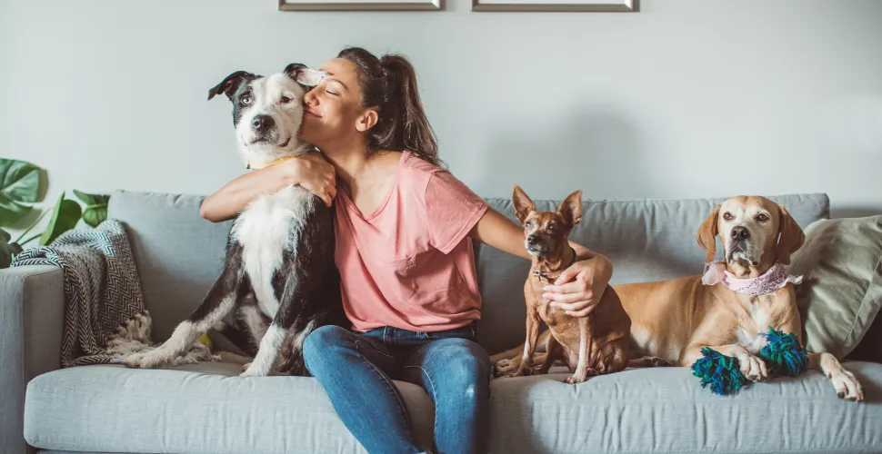 What to Do If Your Roommate Has a Pet (and You Don't)