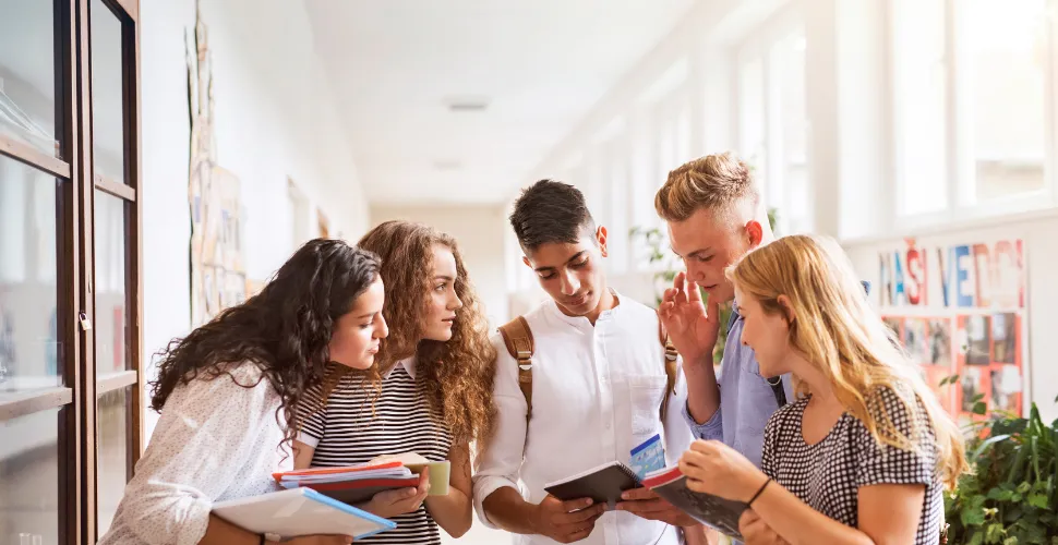 A Student’s Guide to Roommate App for Digital Nomads