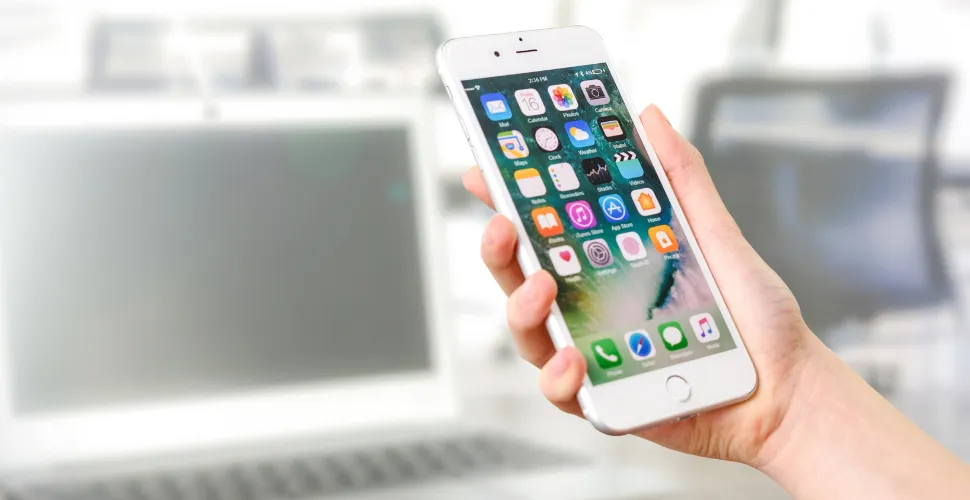 Best Apps to Find a Flatmate in Germany