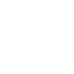 FIGS