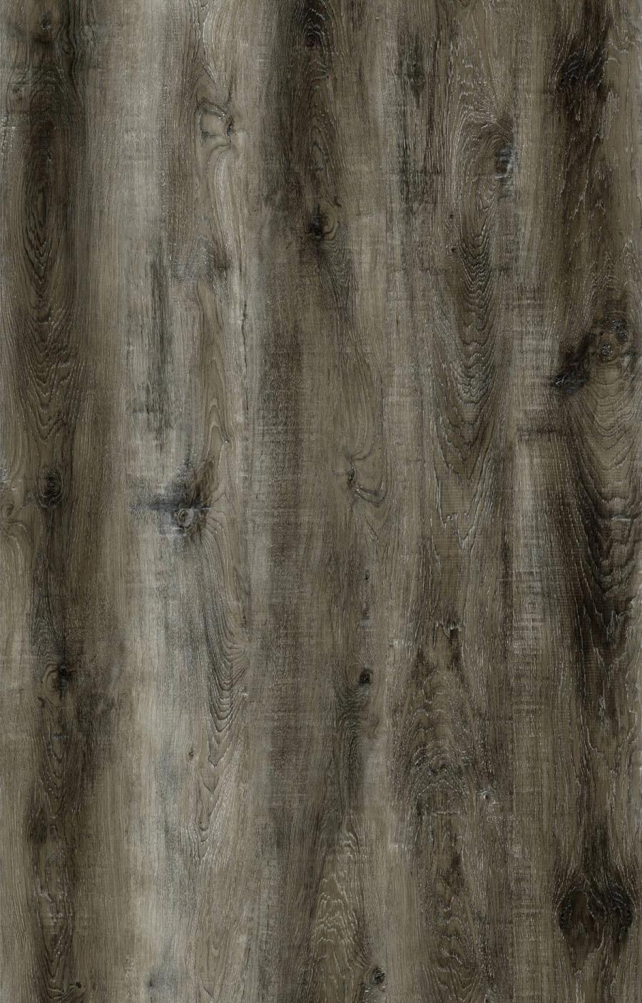 Everstill Forest floor sample