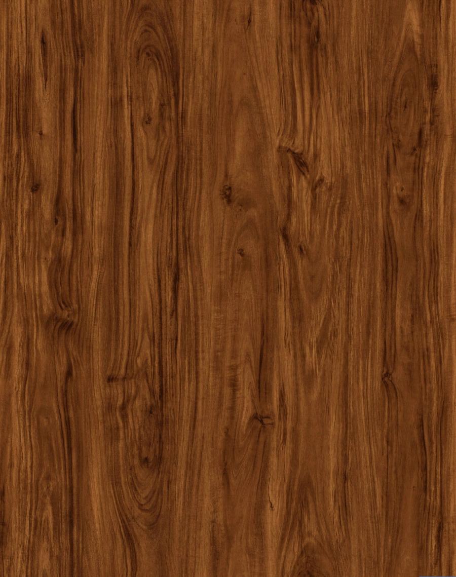 Redwood Forest floor sample
