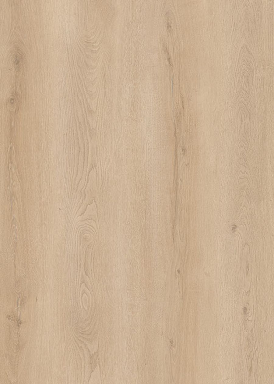 Reina Oak floor sample