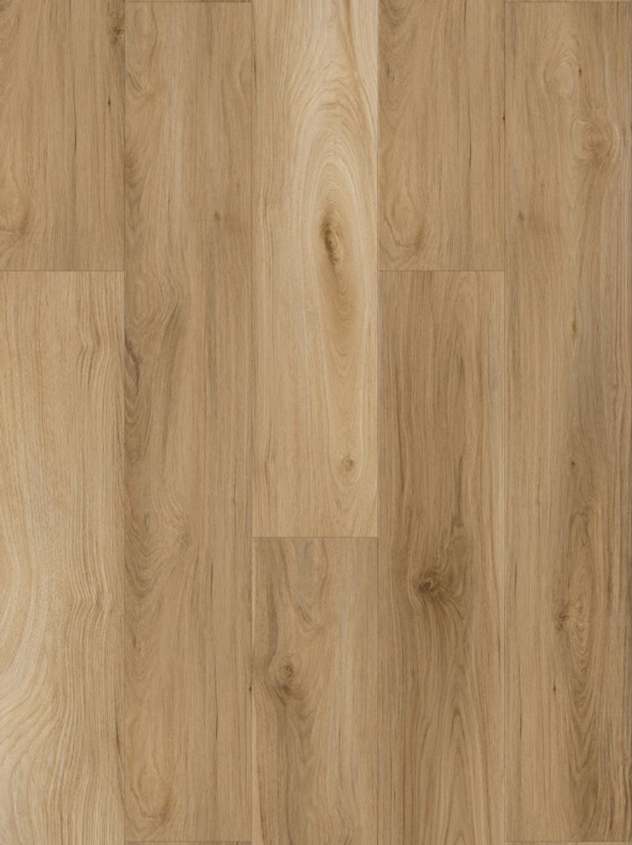 Coastal Dune floor sample