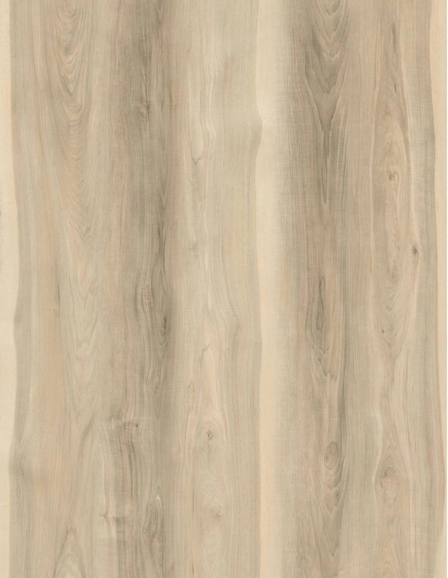 Kaneohe Bay floor sample
