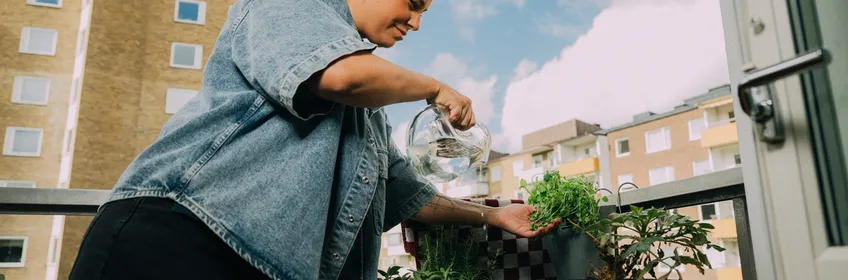 6 frågor och svar om ISK-konton