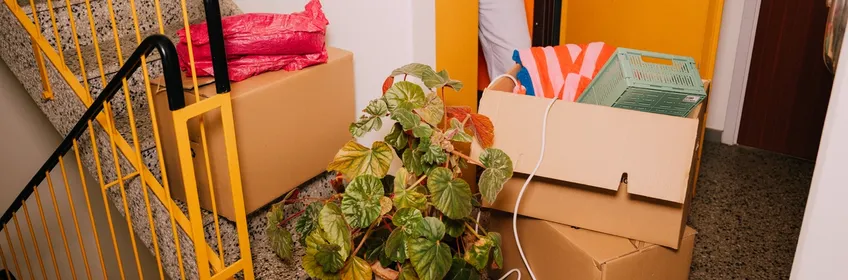 5 sätt att rensa ut och spara/tjäna pengar