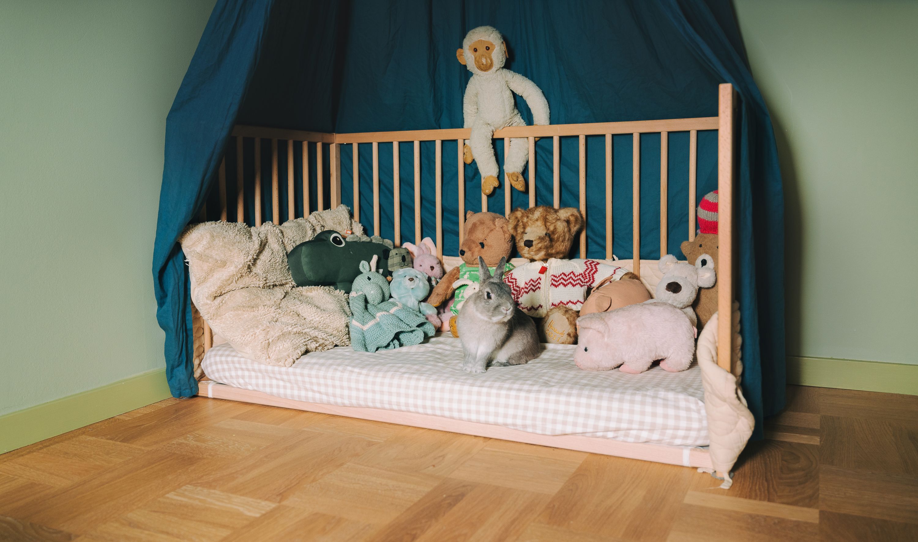 Vad kostar det att skaffa barn?