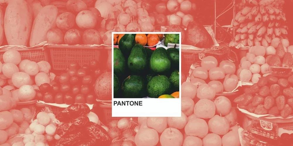 Swatch of Pantone orange, evoking the visual identity themes of personal branding.