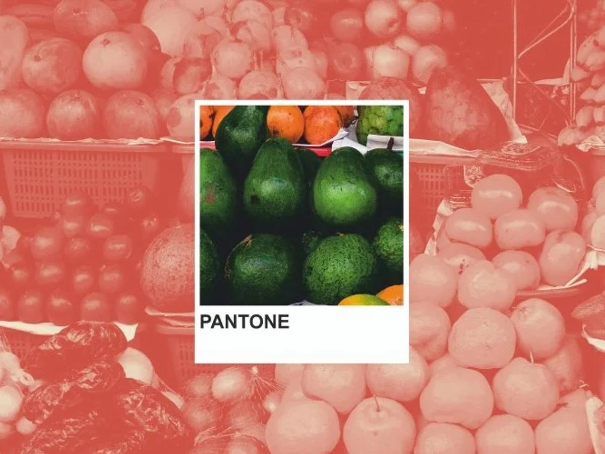 Swatch of Pantone orange, evoking the visual identity themes of personal branding.