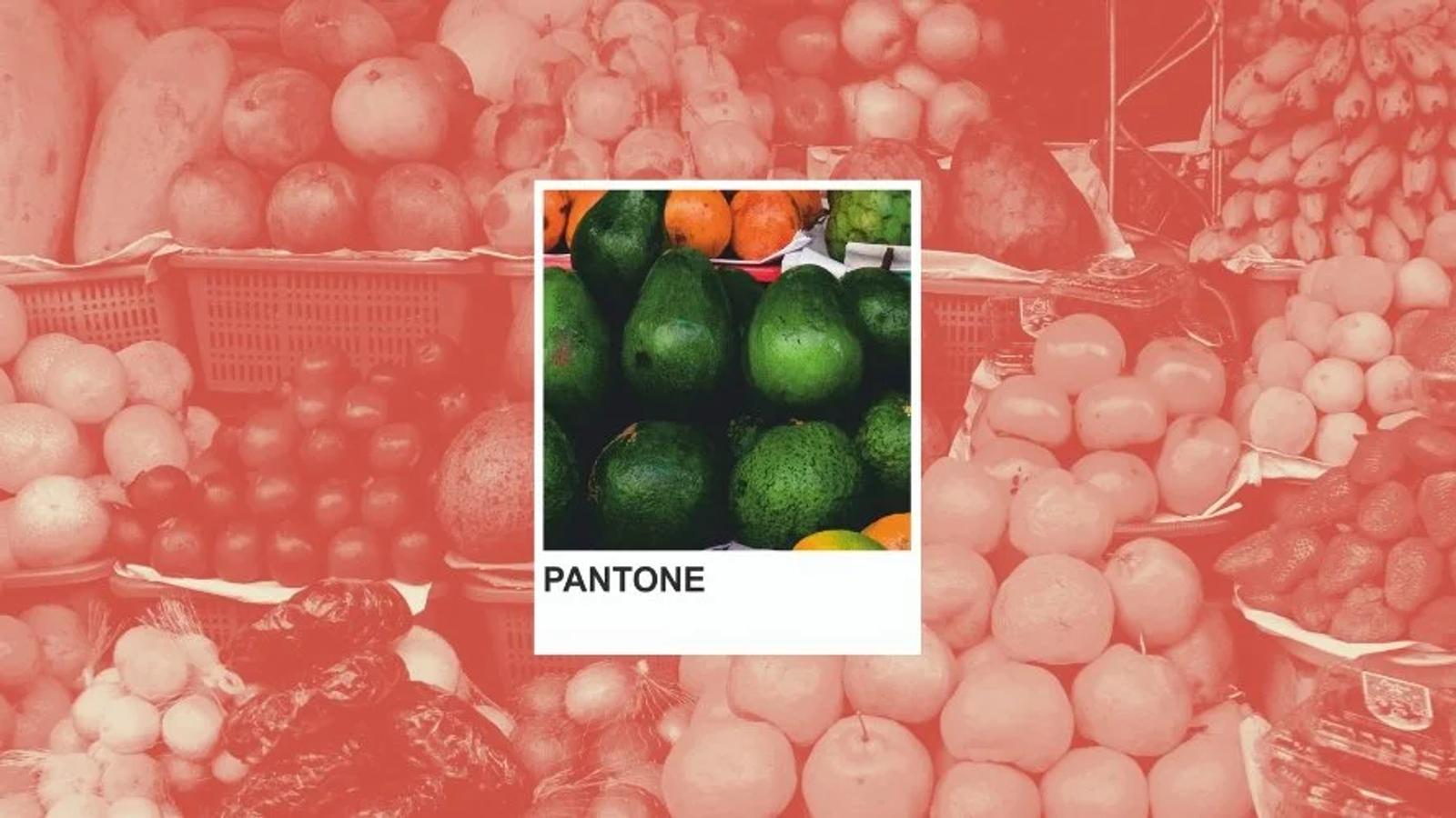 Swatch of Pantone orange, evoking the visual identity themes of personal branding.