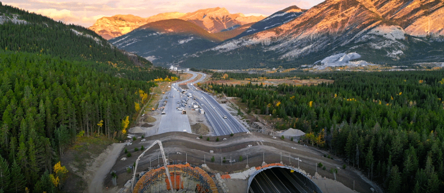 EllisDon Impact Report 2023