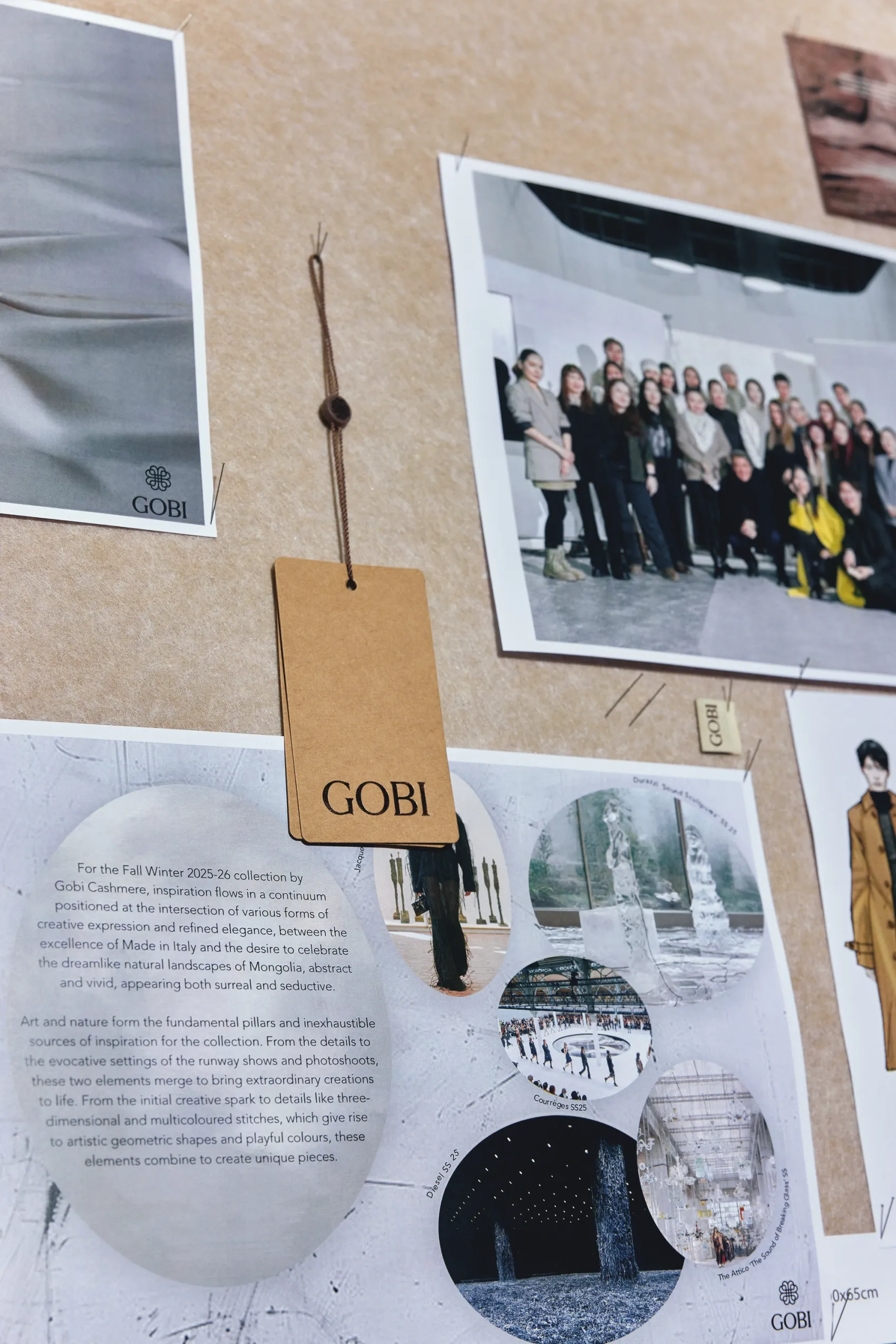 Gobi cashmere