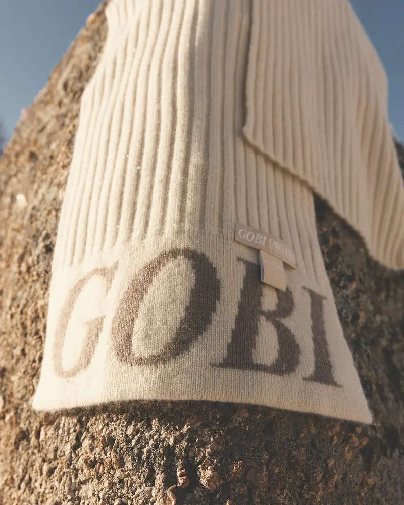 Gobi cashmere
