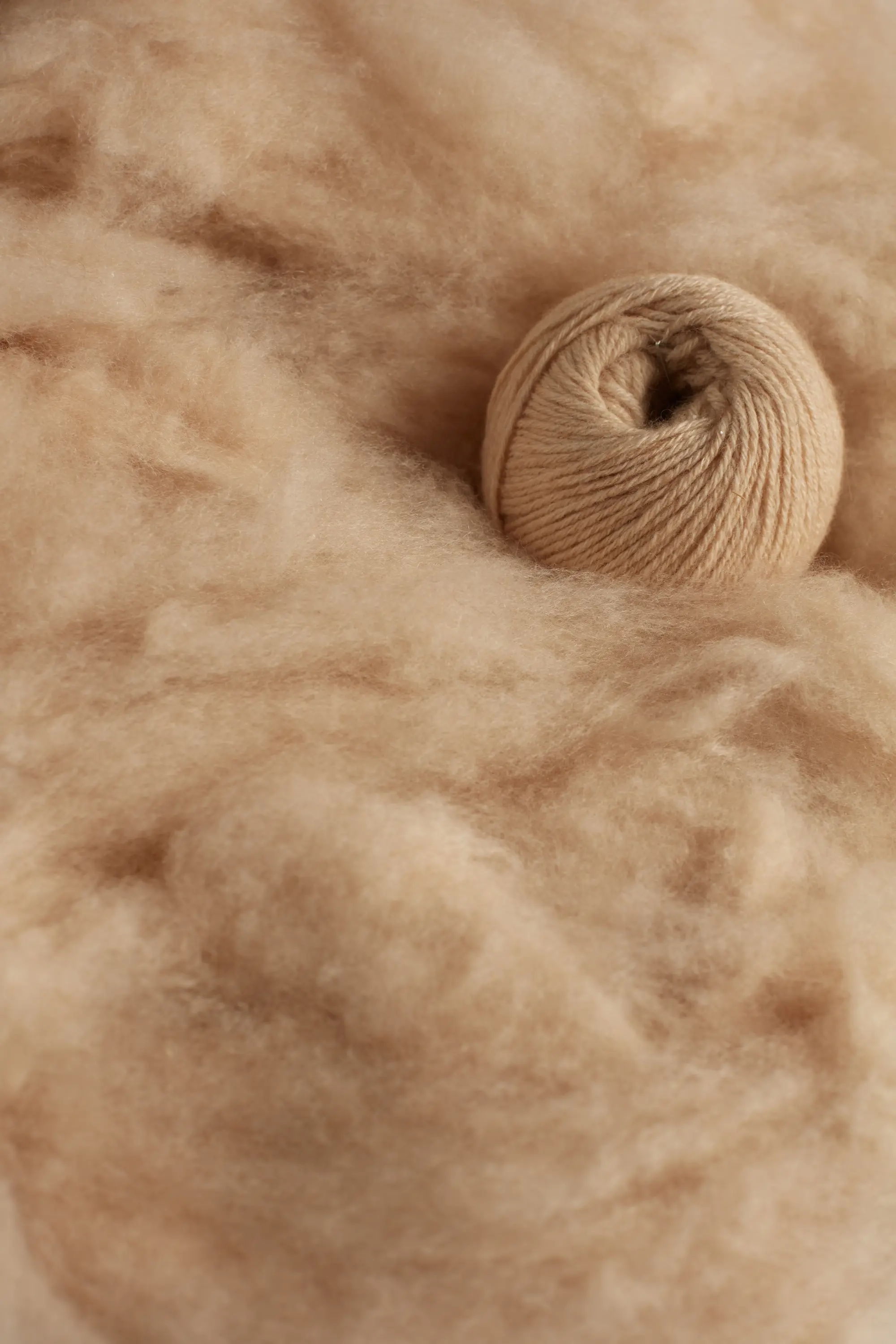 What is the importance of Cashmere in Mongolia?