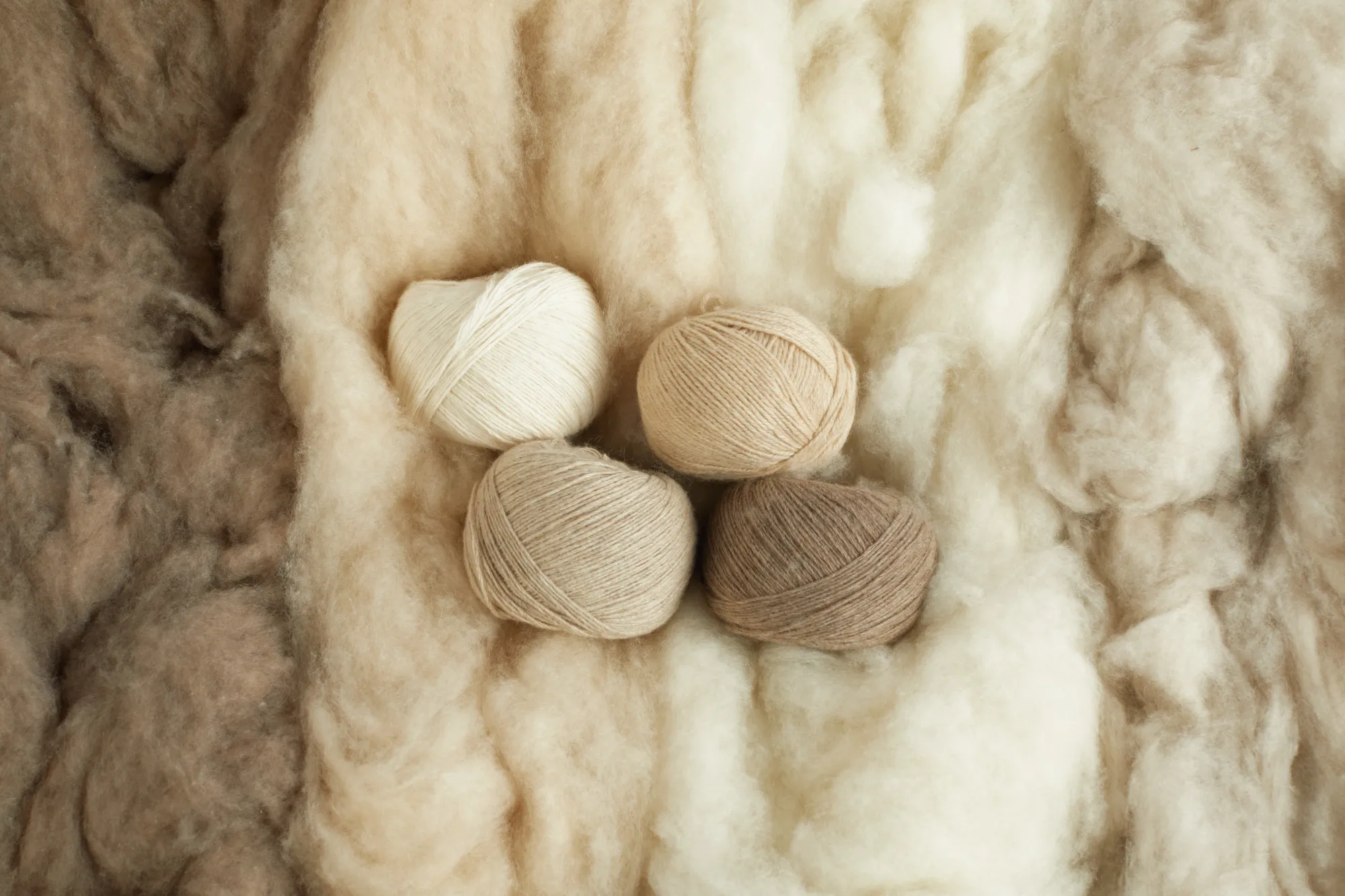 Go Organic with Gobi Cashmere!
