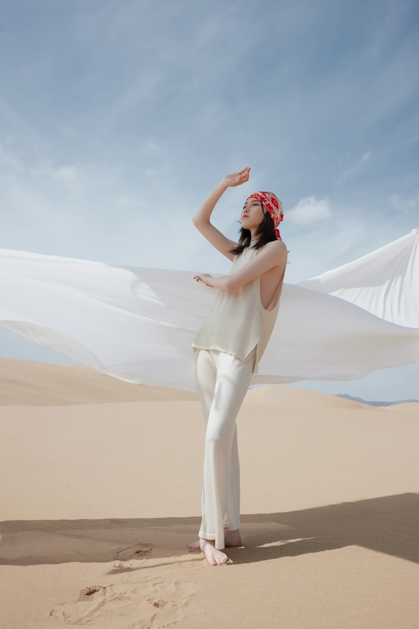 Gobi cashmere