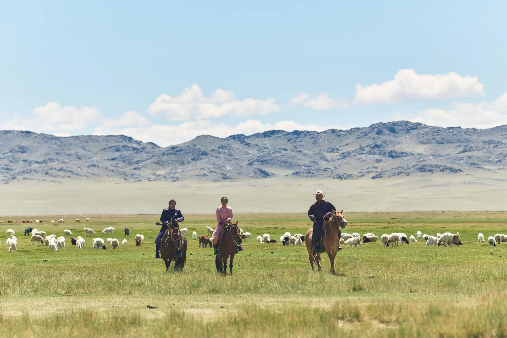 The Impact of Climate Change on the Cashmere Industry: Challenges and Solutions